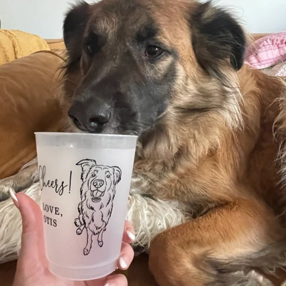 10/50 Personalized Frosted Pla - Plastic Cup 50Pcs recension och pris